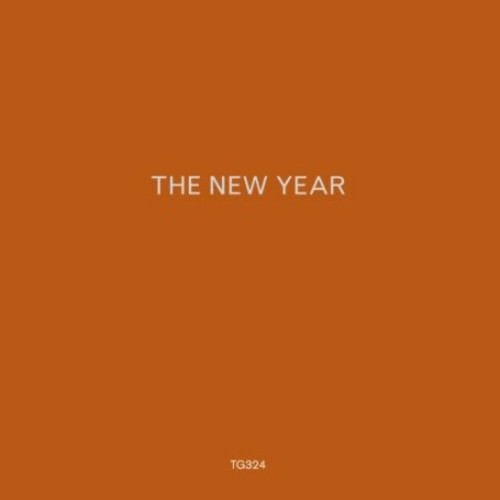 The New Year - The New Year { vinyl }