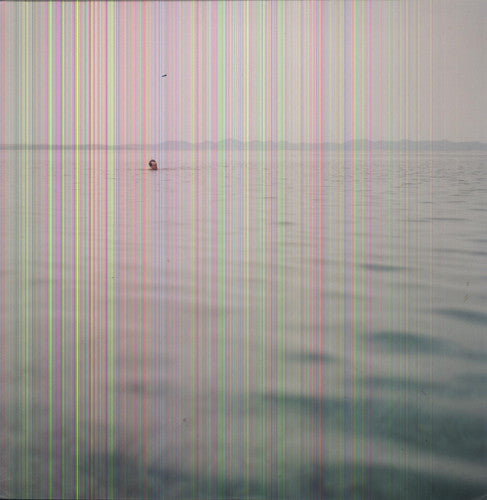 Blue Cranes - Swim { vinyl }