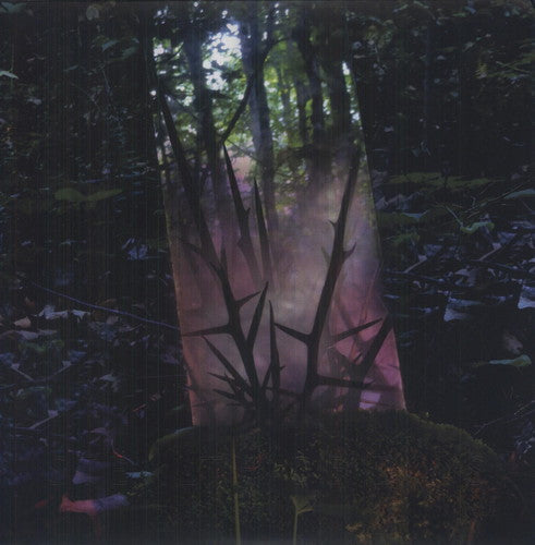 Jensen Sportag - Stealth of Days { vinyl }
