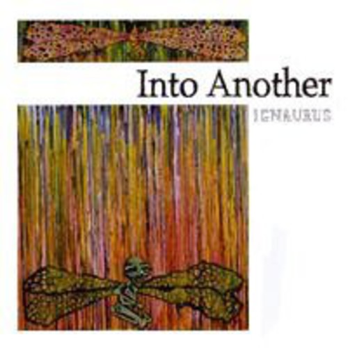 Into Another - Ignaurus { vinyl }