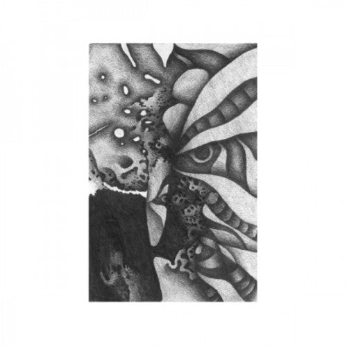 Vibracathedral Orchestra - Rec Blast Motorbike { vinyl }