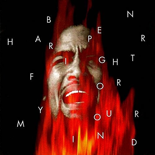 Ben Harper - Fight For Your Mind