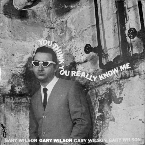 Gary Wilson - You Think You Really Know Me { vinyl }