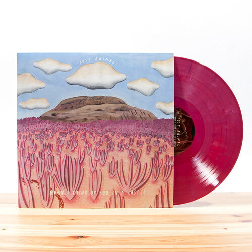 Post Animal - When I Think Of You In A Castle ( { vinyl }