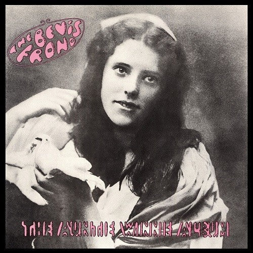The Bevis Frond - The Auntie Winnie Album