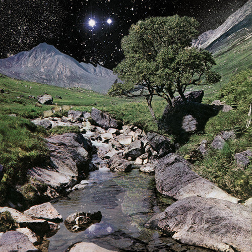 The Beta Band - The Beta Band { vinyl }