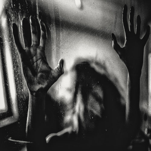 Behind the Shadow Drops - Harmonic { vinyl }
