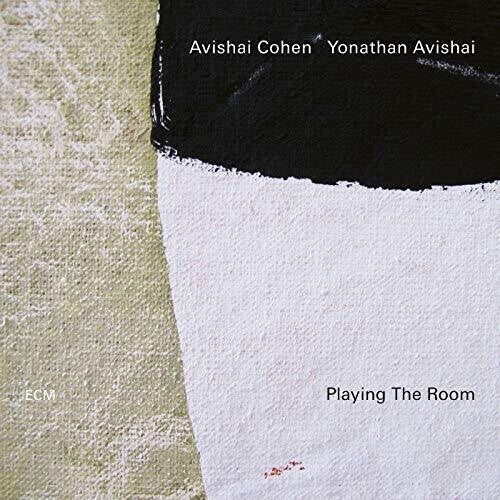 Playing The Room { vinyl }
