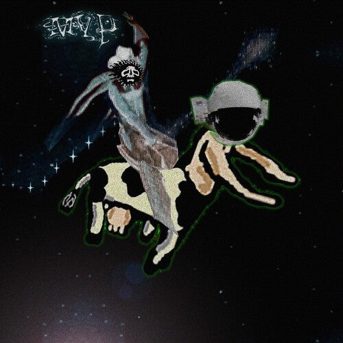 Matt Valentine - Preserves { vinyl }