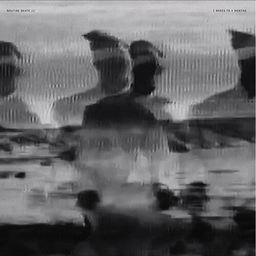 Routine Death - 2 Weeks To 4 { vinyl }