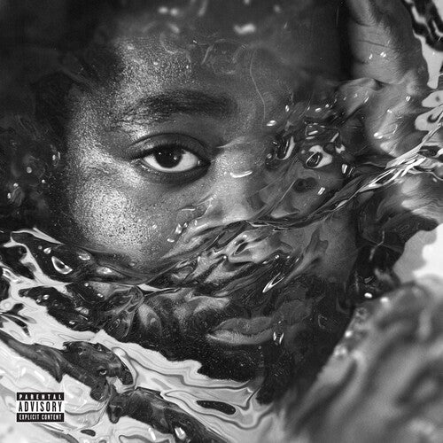 R.LUM.R - Surfacing { vinyl }
