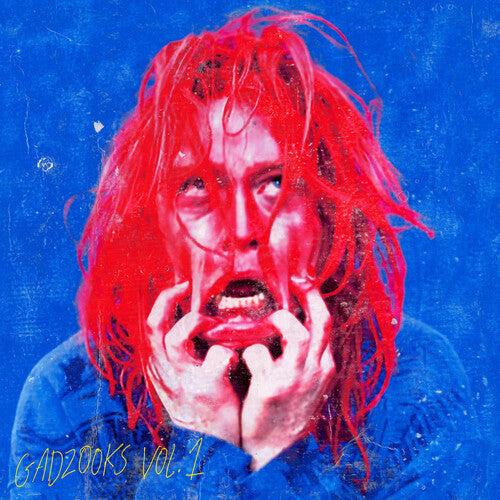 Caleb Landry Jones - Gadzooks Vol. 1 { vinyl }