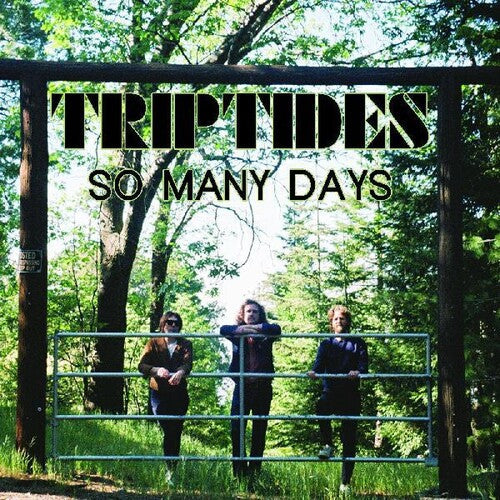 The Triptides - So Many Days { vinyl }