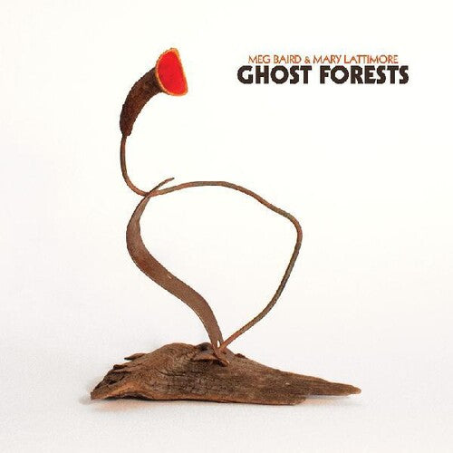 Ghost Forests { vinyl }