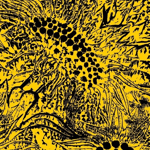 Little Sunflower { vinyl }