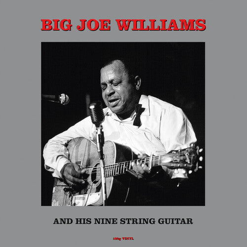 Big Joe Williams - And His Nine String Guitar (180gm Vinyl) { vinyl }