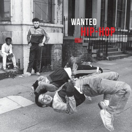 Various Artists - Wanted Hip-Hop / Various { vinyl }