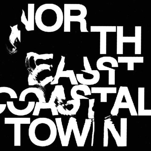 The Life - North East Coastal Town { vinyl }