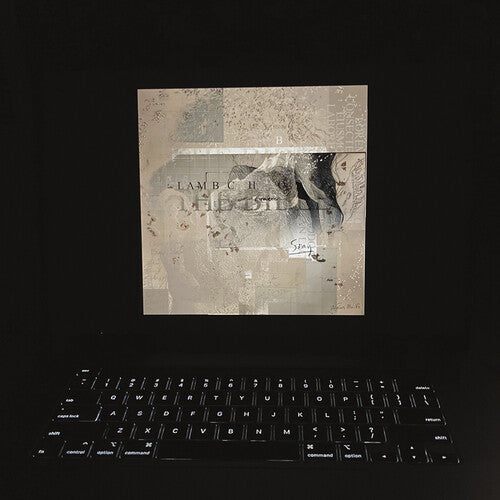 Lambchop - The Bible { vinyl }