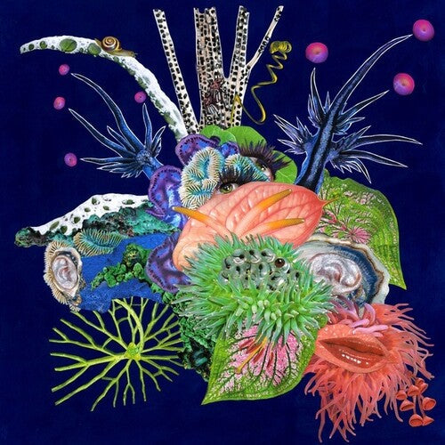 O'O - Touche { vinyl }