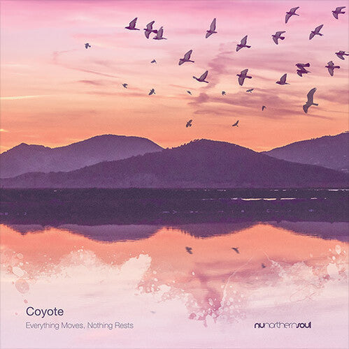Coyote - Everything Moves Nothing Rests { vinyl }