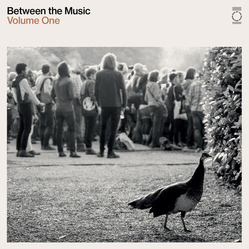 Various Artists - End Of The Road Presents: Between The Music / Var { vinyl }