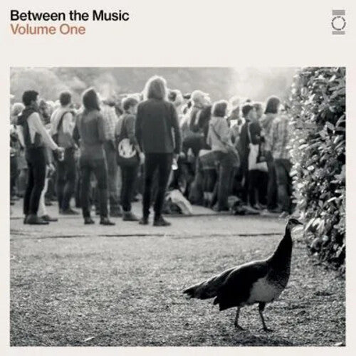 Various Artists - End Of The Road Presents: Between The Music / Various - White { vinyl }