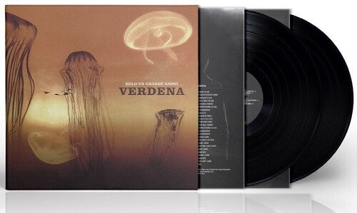 Verdena - Solo Un Grande Sasso { vinyl }