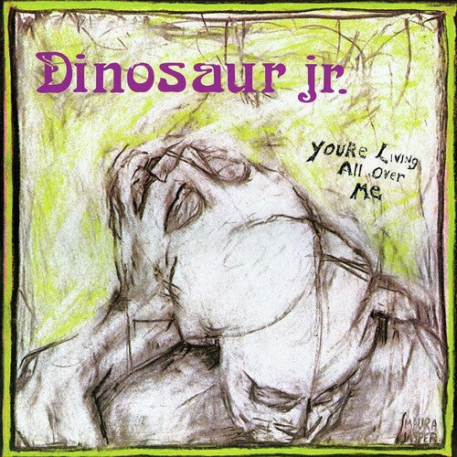 Dinosaur Jr. - You're Living All Over Me { vinyl }