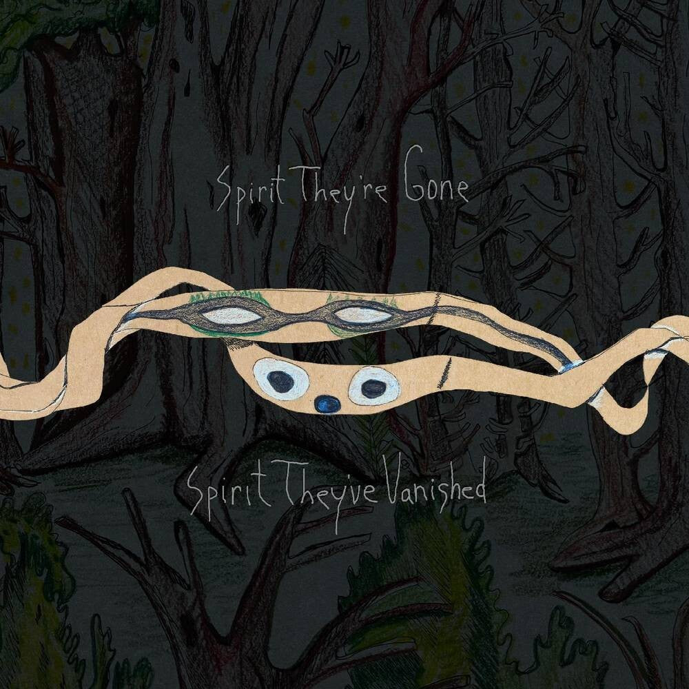 Animal Collective - Spirit They're Gone, Spirit They've Vanished: Remastered 2023 (2LP)
