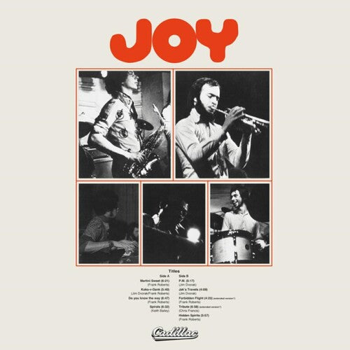 Joy - Joy { vinyl }