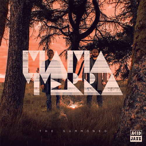 Mama Terra - The Summoned { vinyl }