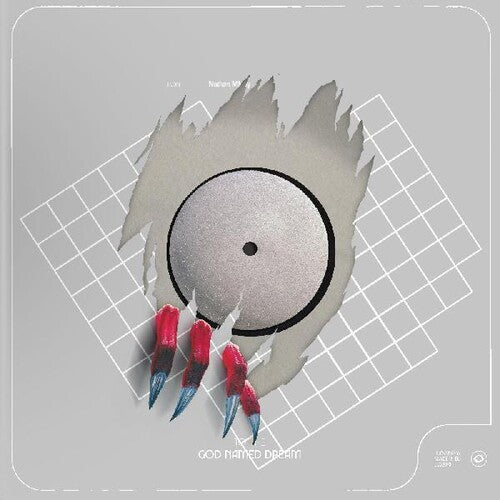 Nathan Micay - To The God Named Dream { vinyl }