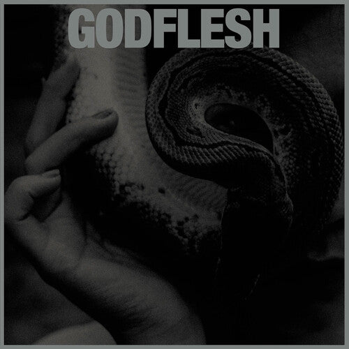 Godflesh - Purge { vinyl }