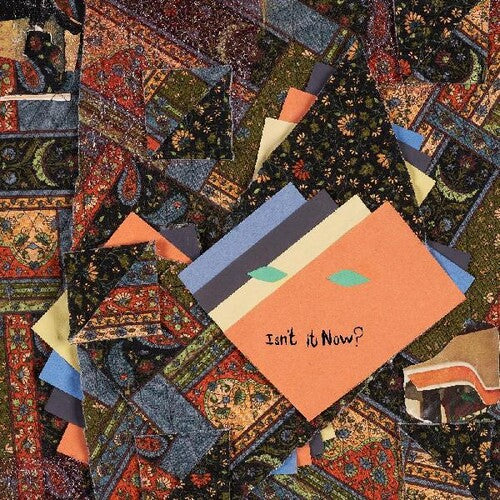 Animal Collective - Isn't It Now? { vinyl }