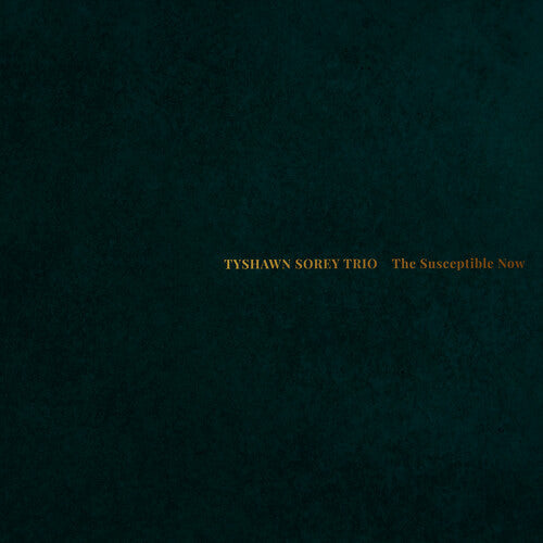 Tyshawn Sorey Trio - The Susceptible Now { vinyl }
