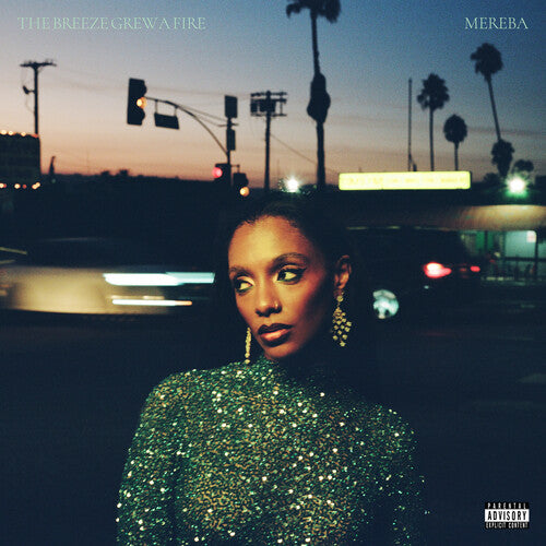 Mereba - The Breeze Grew a Fire { vinyl }