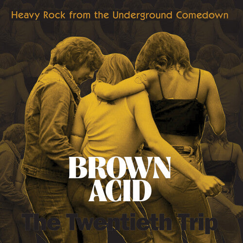 Various Artists - Brown Acid - The Twentieth Trip (Various Artists) { vinyl }
