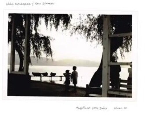 Chihei Hatakeyama - Magnificent Little Dudes Vol. 2