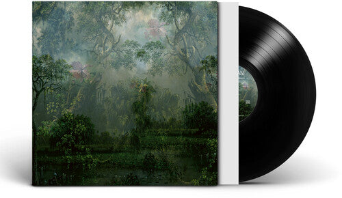 Twice a Man - The Coloured Breeze Is a New Dimension { vinyl }