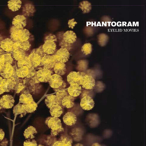 Phantogram - Eyelid Movies { vinyl }