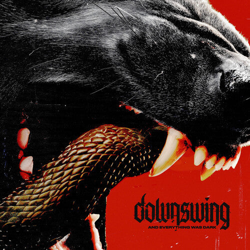 Downswing - And Everything Was Dark { vinyl }