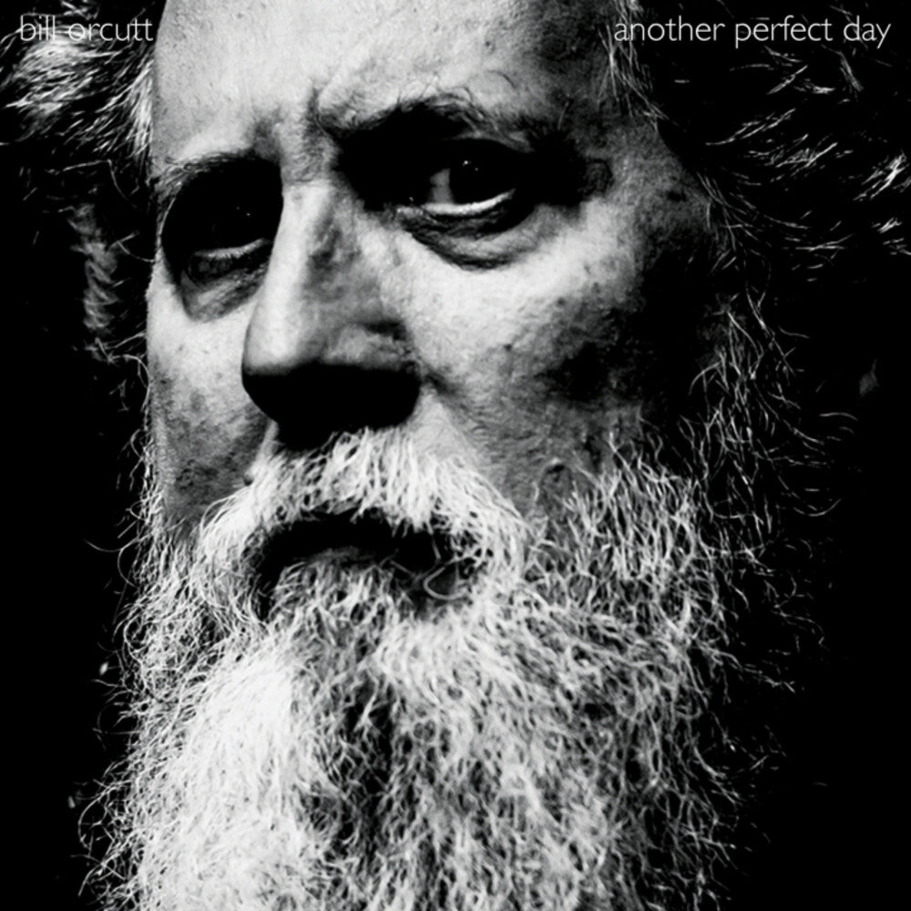 Bill Orcutt - Another Perfect Day