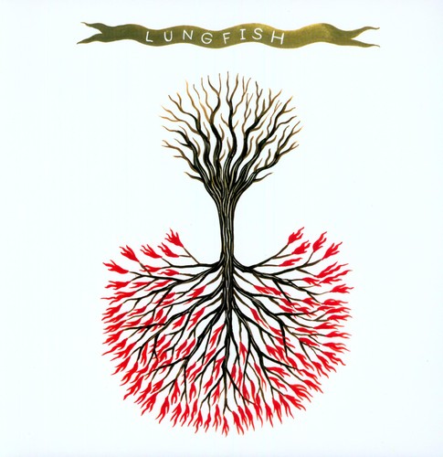 Lungfish - Love Is Love { vinyl }