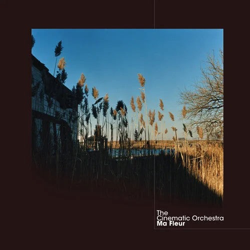 The Cinematic Orchestra - Ma Fleur { vinyl }