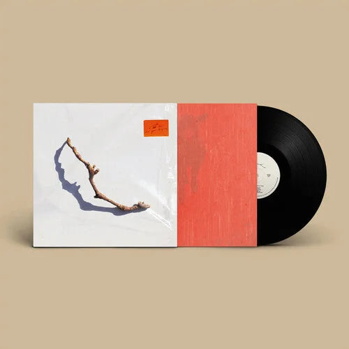 PJ Harvey - I Inside The Old Year Dying { vinyl }