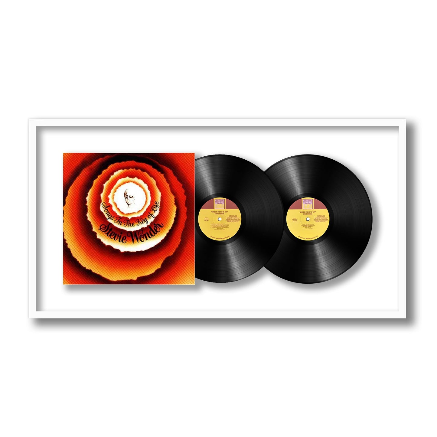 Songs in the Key of Life { vinyl }