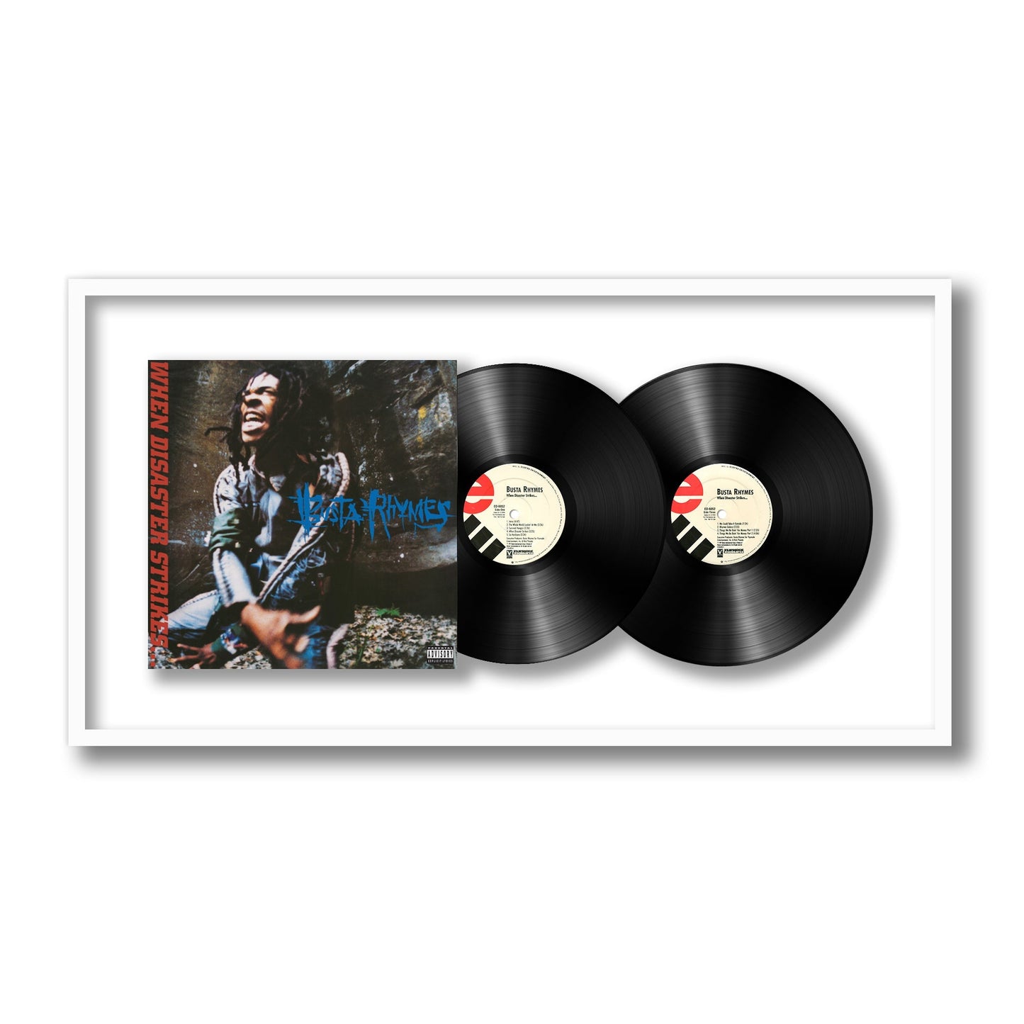 When Disaster Strikes... { vinyl }