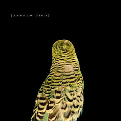 Andrew Bird - Armchair Apocrypha { vinyl }