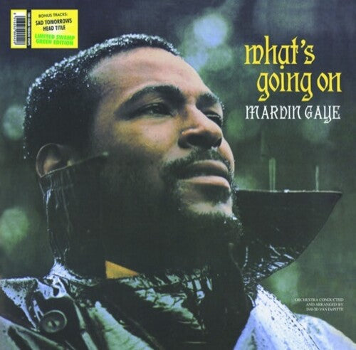 Marvin Gaye - What's Going on { vinyl }